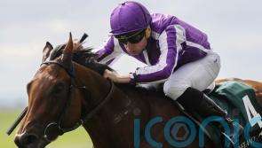 ‘Different class’ Little Big Bear retired following injury