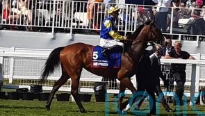 Menuisier sees ground conditions as key to Heartache Tonight
