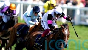 O’Brien backing Porta Fortuna to make Phoenix impact