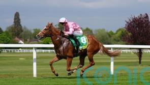 Nunthorpe the target for Live In The Dream