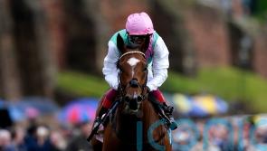 Former Derby favourite Arrest on Leger trial at Newbury