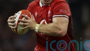 Wales ready to meet South Africa’s physicality head on, says Aaron Wainwright