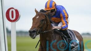Henry Longfellow steps up for Futurity Stakes assignment