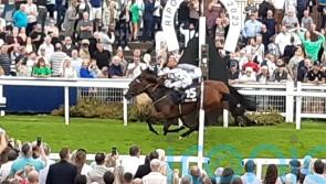Sophia’s Starlight connections happy to see filly fulfilling her promise