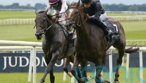 Savethelastdance and Bluestocking face Yorkshire Oaks rematch