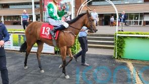 Tiger Belle sights on major sprint targets with ParisLongchamp win