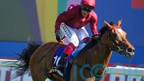 Connections of Soul Sister call time on this year’s campaign