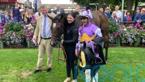Lezoo set to represent Beckett in Haydock’s Sprint Cup