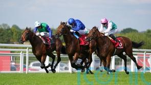 Meehan thoughts turn to Breeders’ Cup with Inishfallen
