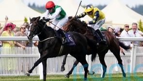Muir pays tribute to Pyledriver after announcing retirement