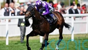 Shaquille the star attraction in Sprint Cup