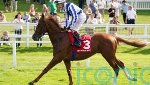Plenty of options for Devil’s Point after encouraging Sandown run