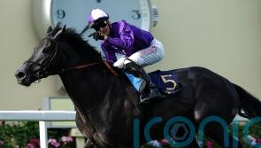 Varian ‘delighted’ with Irish Champion hope King Of Steel