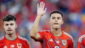Brennan Johnson has the potential to reach ‘highest of levels’ – Neco Williams