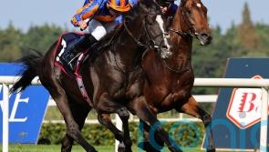 O’Brien favouring direct Breeders’ Cup route with Auguste Rodin