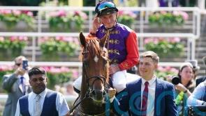 Marquand fully focused ahead of Desert Hero’s St Leger date
