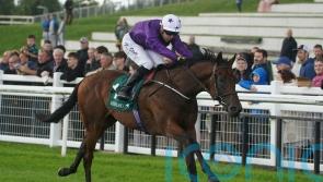 Bucanero Fuerte back next year with Classic bid in mind