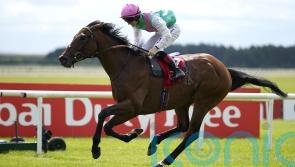 Westover pleasing Beckett ahead of Arc challenge