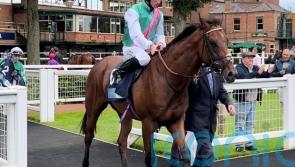Task Force ready for Middle Park mission