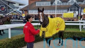 Setback scuppers Grand Alliance’s Cadran hopes