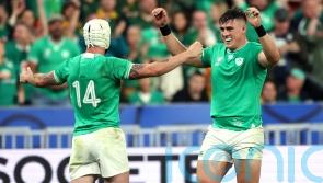 Ireland hooker Dan Sheehan in ‘perfect’ condition for rest of World Cup