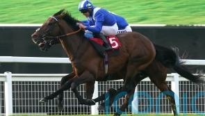 Burrows points to quick conditions after Hukum’s Arc eclipse