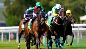 ‘Absolutely brilliant’ Quinault heading for Ascot Challenge