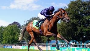 O’Brien excited by City Of Troy’s Dewhurst test