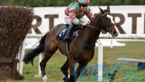 Old Roan looks to be on the cards for Tommy’s Oscar