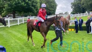 Shuwari heads eight-strong Fillies’ Mile field
