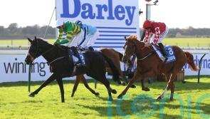 The Shunter realises long-term plan with Cesarewitch strike