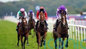 Continuous improvement expected in Japan Cup