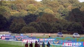 Doncaster have cause to be hopeful of staging Futurity Trophy card