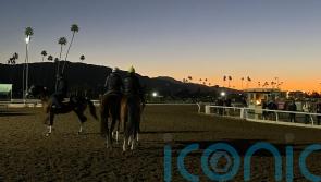 Classic favourite Arcangelo ruled out of Breeders&rsquo; Cup