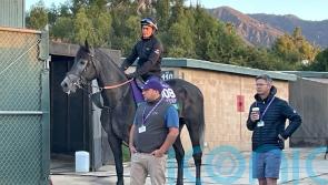 King Of Steel could be Classic-bound this time next year