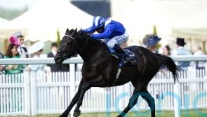 Mostahdaf will stand in Newmarket after final start in Breeders’ Cup Turf