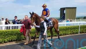 O’Brien disappointed after Breeders’ Cup contenders scratched