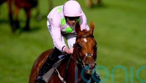 Mullins pair favoured by Melbourne Cup draw