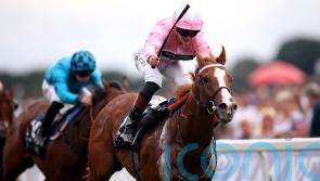 West already dreaming of Breeders’ Cup return