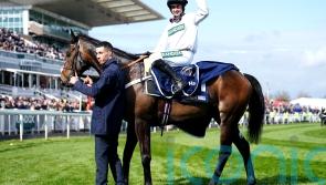 Constitution Hill’s return edges nearer as Fighting Fifth entries revealed