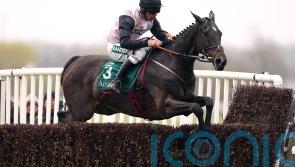 Fab four lock horns in Down Royal feature