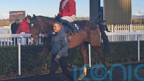 Cheveley Park pair justify big price tags at Naas