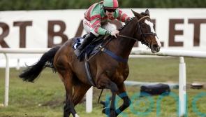Tommy’s Oscar forced to sidestep Cheltenham trip