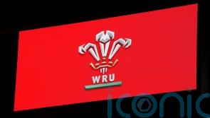 Welsh Rugby Union was “unforgiving, even vindictive” workplace for some – report