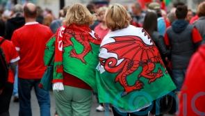 Incoming Welsh Rugby Union boss vows to ‘turn this round’ after damning review