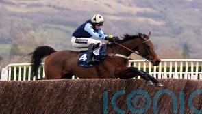Edwardstone ‘ready to go’ for Cheltenham return