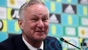 Michael O’Neill calls Northern Ireland win over Denmark step in right direction