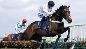 Constitution Hill ‘all set’ to come out Fighting at Newcastle