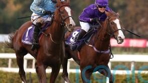 Slate Lane ‘doing everything right’ ahead of Haydock test