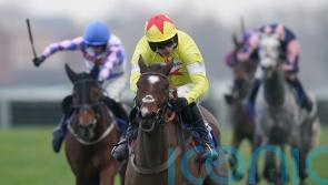 Nicholls ‘thrilled’ with Hermes Allen chasing debut